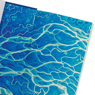 Is a river alive by Robert Macfarlane