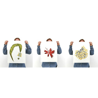 Seaweed Print Bundle (3)