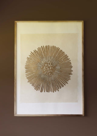 Gold Coltsfoot (Special)