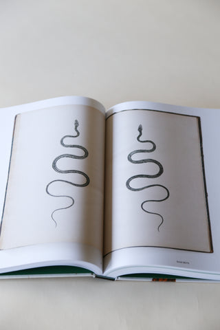 Capturing Nature: 150 Years of Nature Printing by Matthew Zucker.