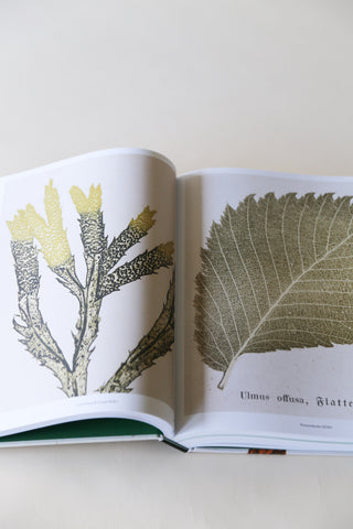 Capturing Nature: 150 Years of Nature Printing by Matthew Zucker.