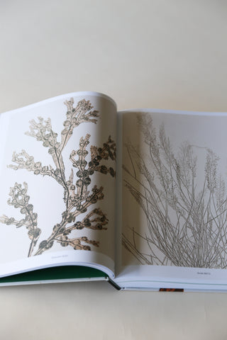 Capturing Nature: 150 Years of Nature Printing by Matthew Zucker.