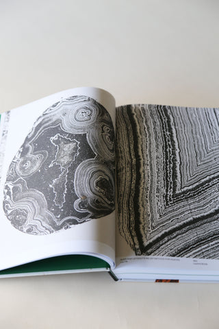 Capturing Nature: 150 Years of Nature Printing by Matthew Zucker.