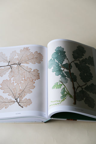 Capturing Nature: 150 Years of Nature Printing by Matthew Zucker.