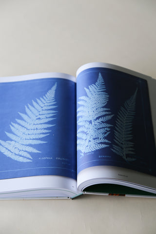 Capturing Nature: 150 Years of Nature Printing by Matthew Zucker.