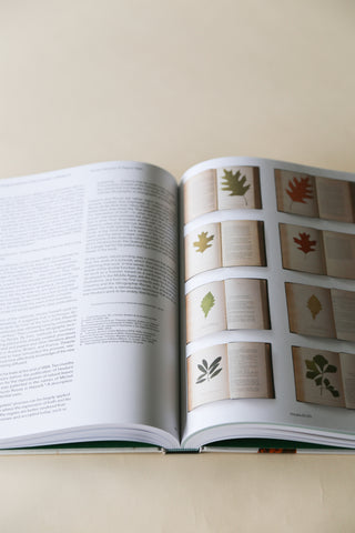 Capturing Nature: 150 Years of Nature Printing by Matthew Zucker.