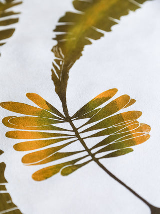 Giant Atlantic Wakame in Green Print