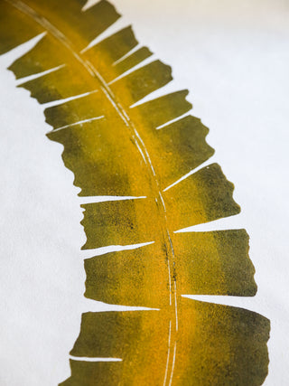 Giant Atlantic Wakame in Green Print