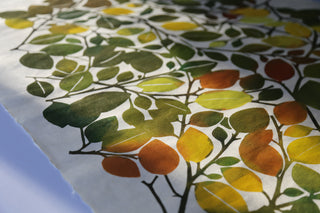 Late Summer Beech Leaf