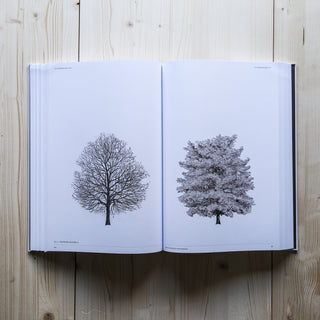 The Architecture of Trees by Cesare Leonardi and Franca Stagi