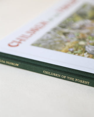 Children of the Forest by Elsa Beskow