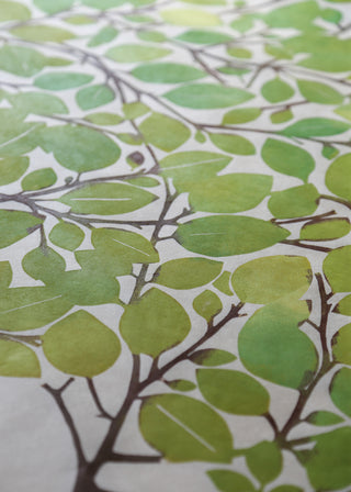 Spring Beech Leaf Print