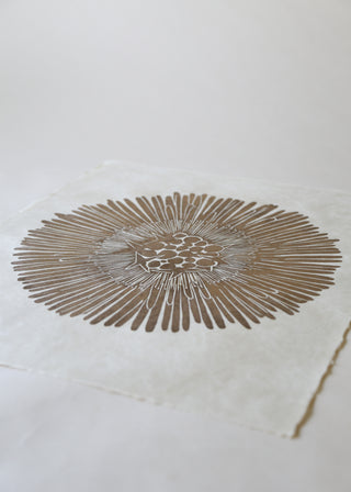 Gold Coltsfoot (Special)