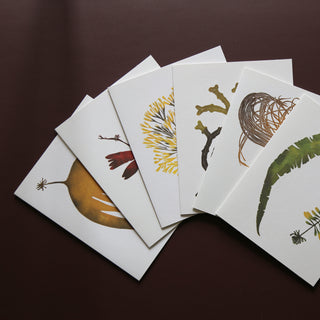 Wild Sea Notecards by Superfolk