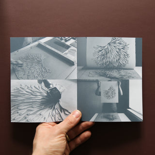 Wild Sea Notecards by Superfolk