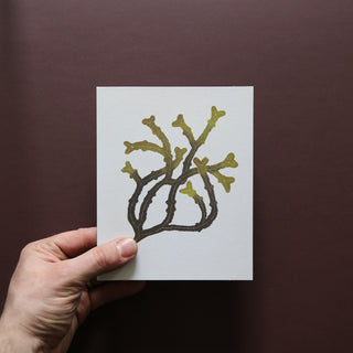 Wild Sea Notecards by Superfolk