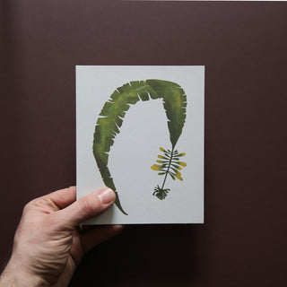 Wild Sea Notecards by Superfolk