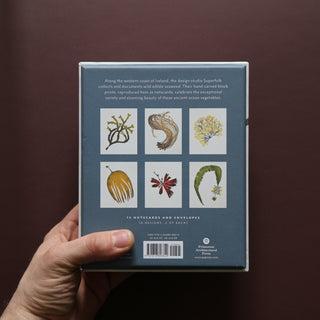 Wild Sea Notecards by Superfolk
