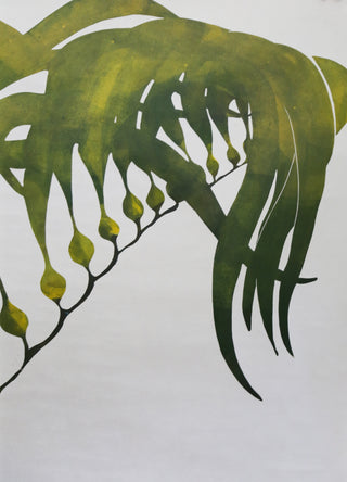 Giant Kelp Forest Print