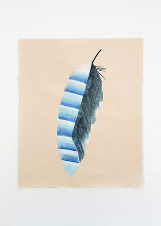 Jay Feather