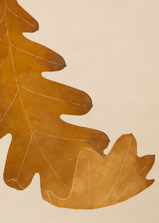 Oak Leaf