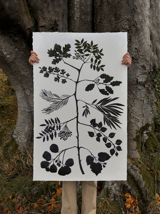 The Tree of Leaves Print in Bog Oak Black