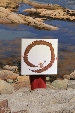 Giant Atlantic Wakame in Rust Print