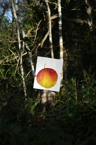 Woodland Treasures Bundle (6 prints)