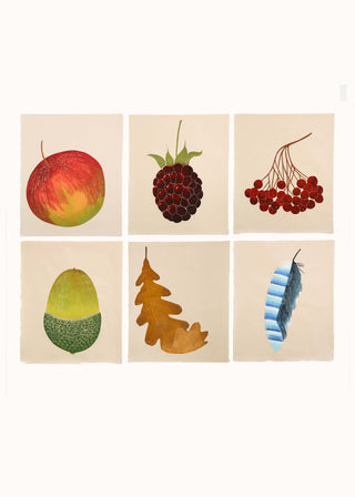 Woodland Treasures Bundle (6 prints)