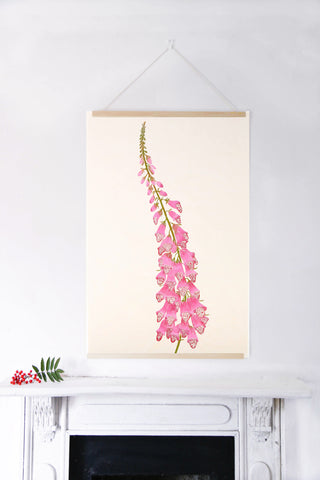 Foxglove - Mulberry