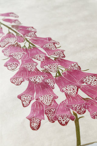 Foxglove - Mulberry