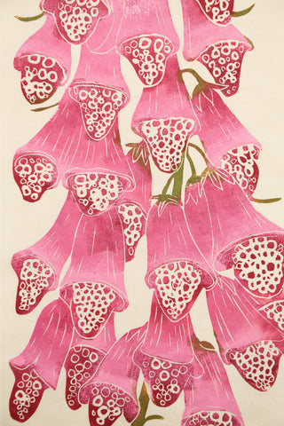Foxglove - Mulberry