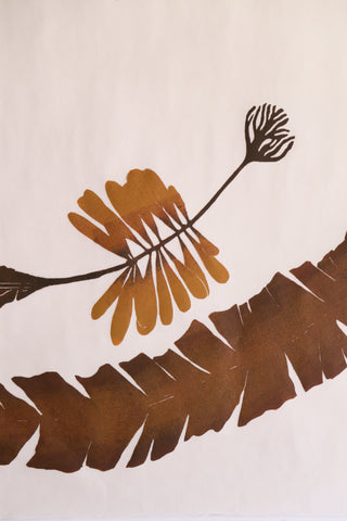 Giant Atlantic Wakame in Rust Print