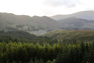 Ireland’s Industrial Forests