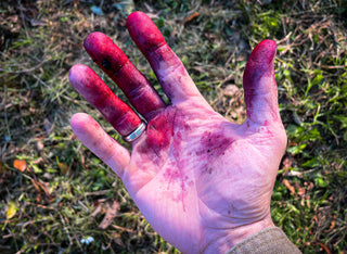 Blackberries are Back