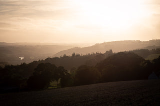 Go Visit: Cappoquin House
