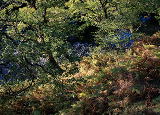 Is beatha an teanga í a labhairt