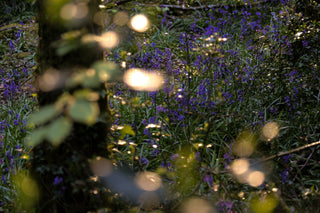 May Diary - An Aperture for Wonder