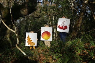 The Story Behind "Woodland Treasures"