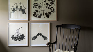 Woodland Silhouettes