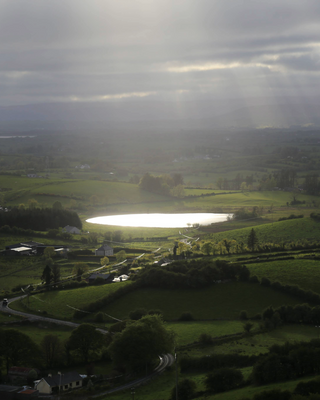 All Things Green - 20% off