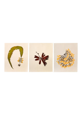 Seaweed Print Bundle (3)