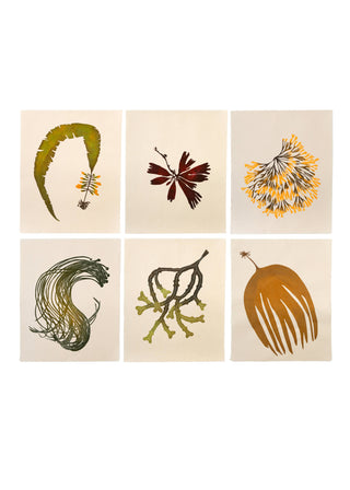 Seaweed Print Bundle (6)
