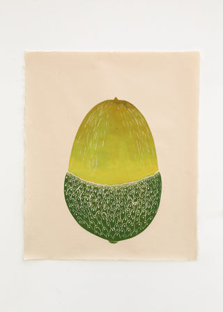 Acorn