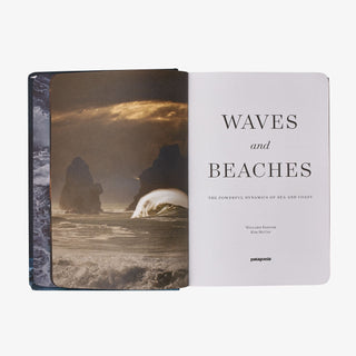Waves and Beaches