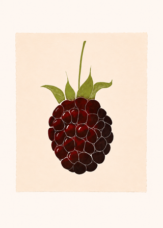 Blackberry