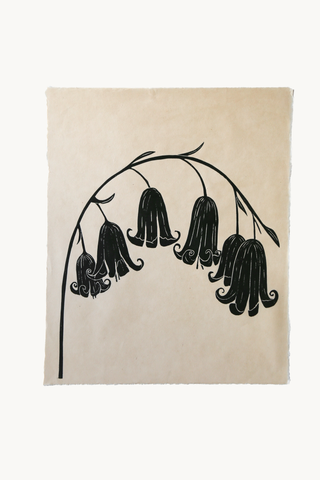 *Special* Bluebell in Black