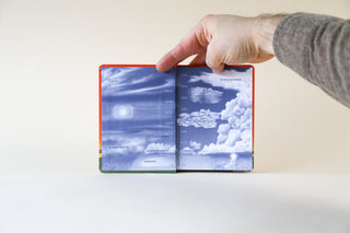 The Cloud Collector’s Handbook by Gavin Pretor-Pinney
