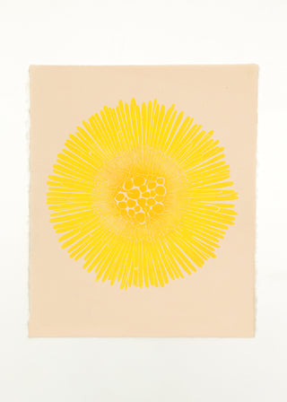 Coltsfoot Print