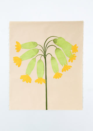 Cowslip
